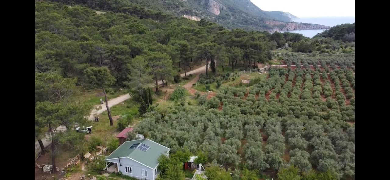 Gelidonia Fenerium Holiday Home Antalya Exterior photo