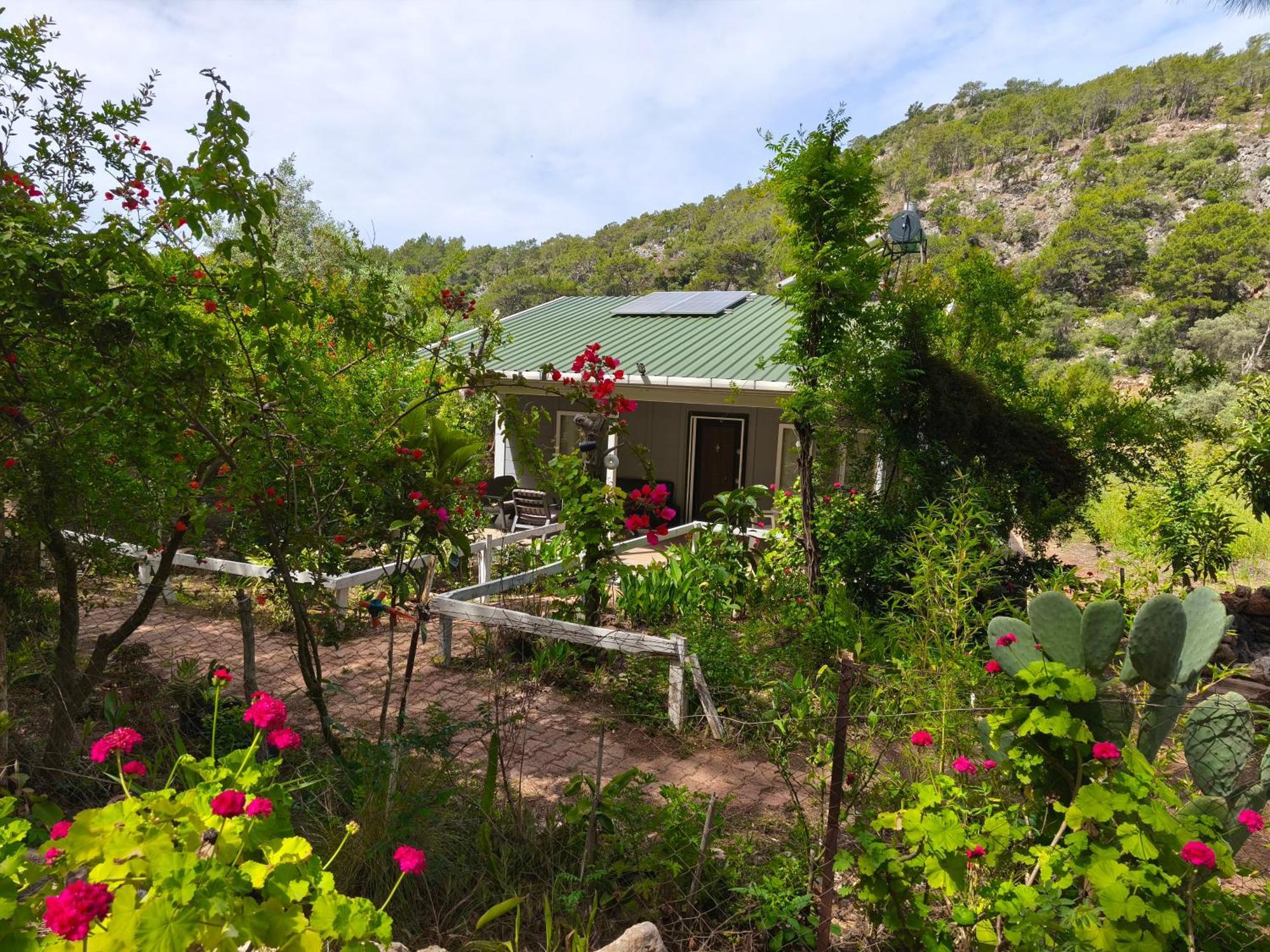 Gelidonia Fenerium Holiday Home Antalya Exterior photo