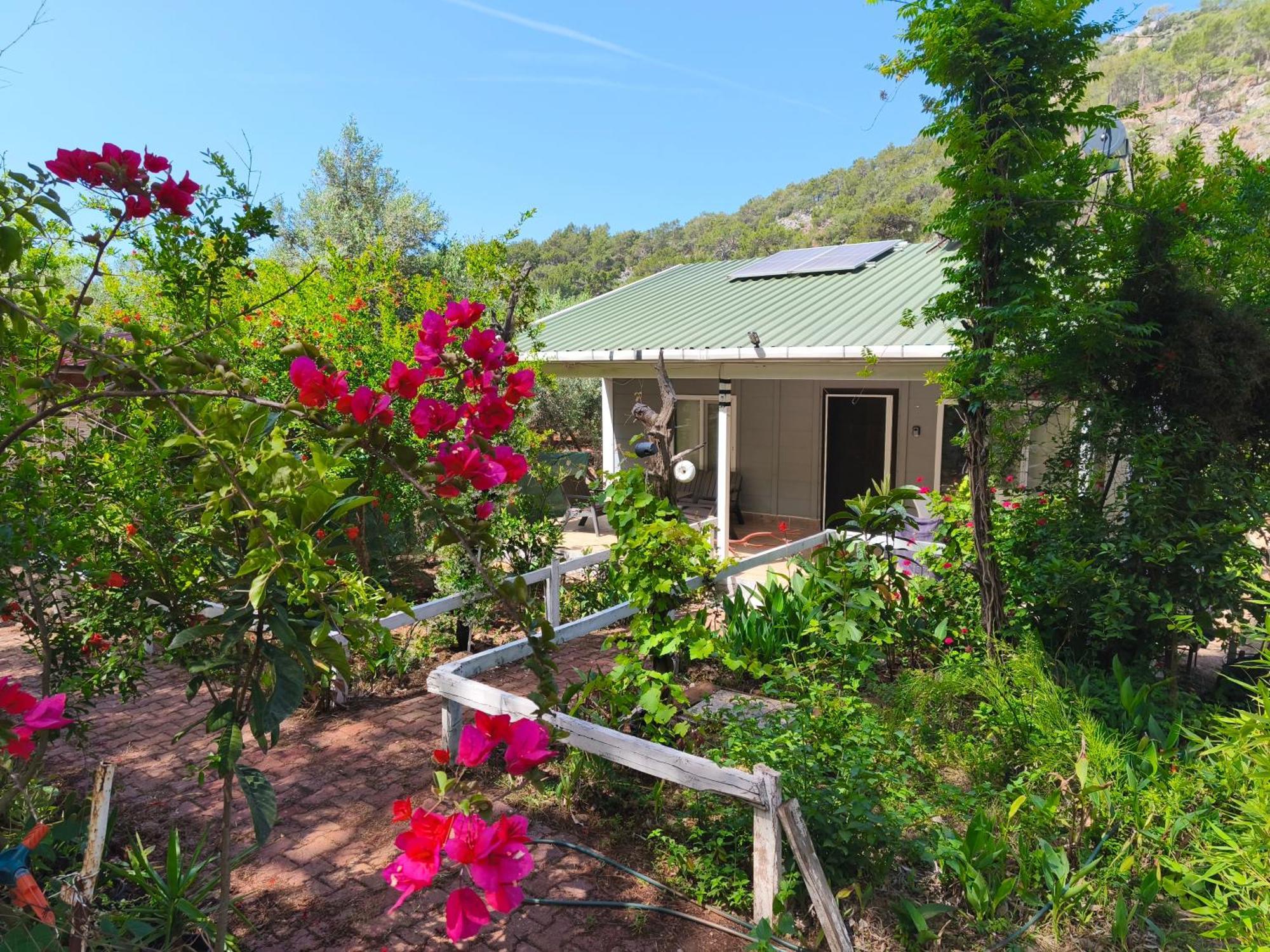 Gelidonia Fenerium Holiday Home Antalya Exterior photo
